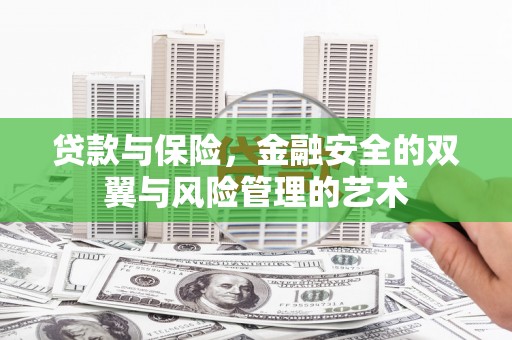 泾河贷款与保险，金融安全的双翼与风险管理的艺术