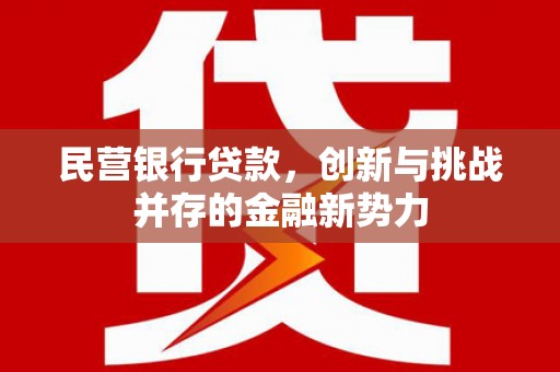 泾河民营银行贷款，创新与挑战并存的金融新势力
