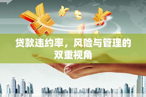 泾河贷款违约率，风险与管理的双重视角