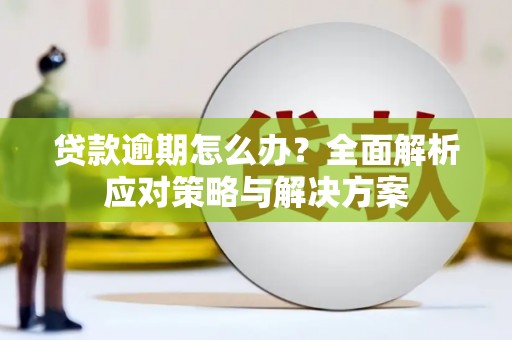 泾河贷款逾期怎么办？全面解析应对策略与解决方案