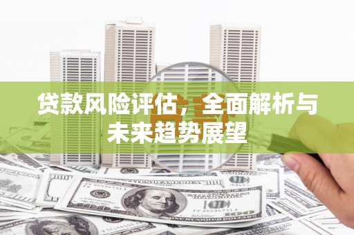 泾河贷款风险评估，全面解析与未来趋势展望