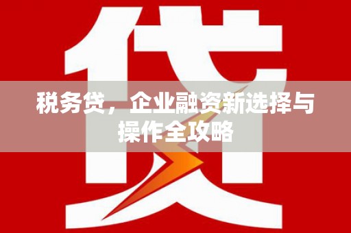 泾河税务贷，企业融资新选择与操作全攻略