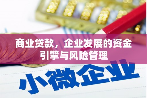 泾河商业贷款，企业发展的资金引擎与风险管理