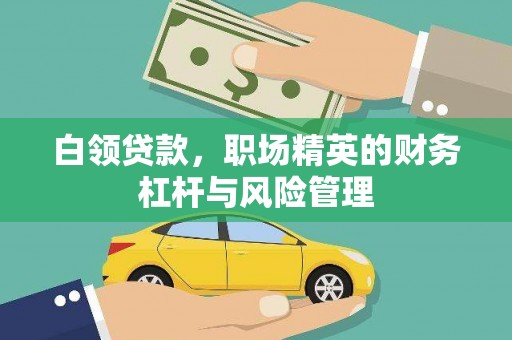 泾河白领贷款，职场精英的财务杠杆与风险管理