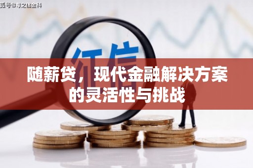 泾河随薪贷，现代金融解决方案的灵活性与挑战