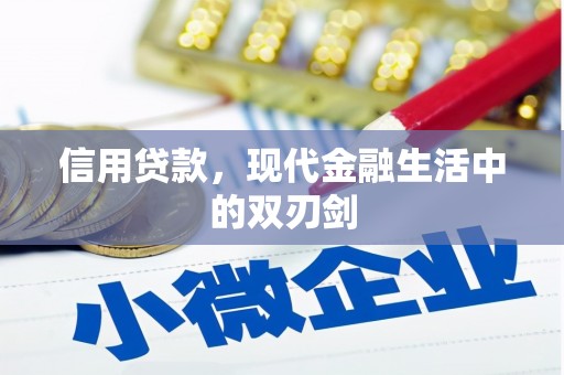 泾河信用贷款，现代金融生活中的双刃剑