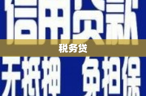 泾河税务贷