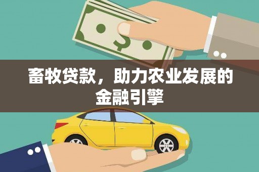 泾河畜牧贷款，助力农业发展的金融引擎