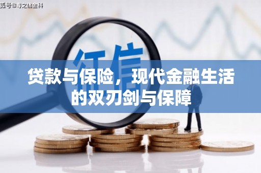 泾河贷款与保险，现代金融生活的双刃剑与保障