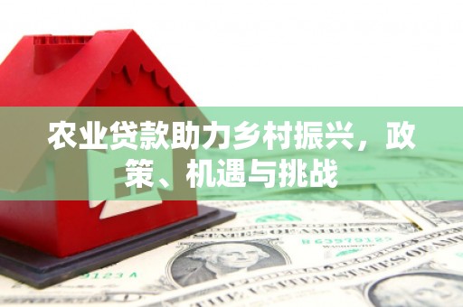 泾河农业贷款助力乡村振兴，政策、机遇与挑战