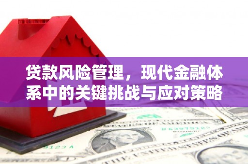泾河贷款风险管理，现代金融体系中的关键挑战与应对策略