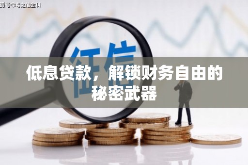 泾河低息贷款，解锁财务自由的秘密武器