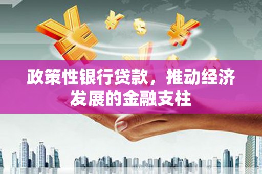 泾河政策性银行贷款，推动经济发展的金融支柱