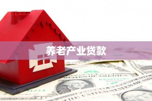 泾河养老产业贷款