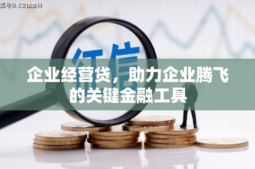 泾河企业经营贷，助力企业腾飞的关键金融工具