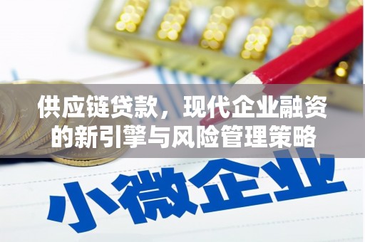 泾河供应链贷款，现代企业融资的新引擎与风险管理策略