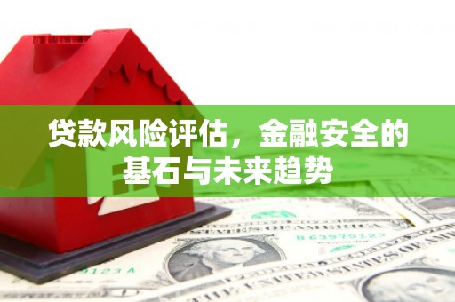 泾河贷款风险评估，金融安全的基石与未来趋势