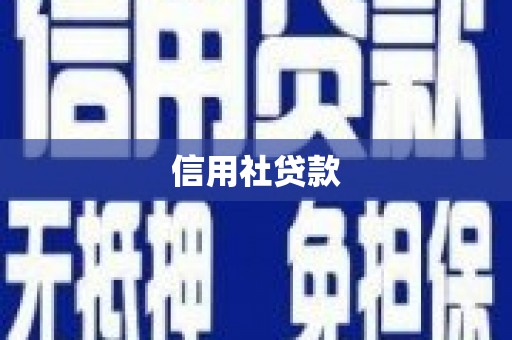 泾河信用社贷款