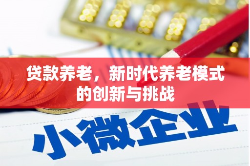 泾河贷款养老，新时代养老模式的创新与挑战