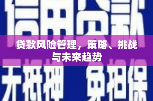泾河贷款风险管理，策略、挑战与未来趋势