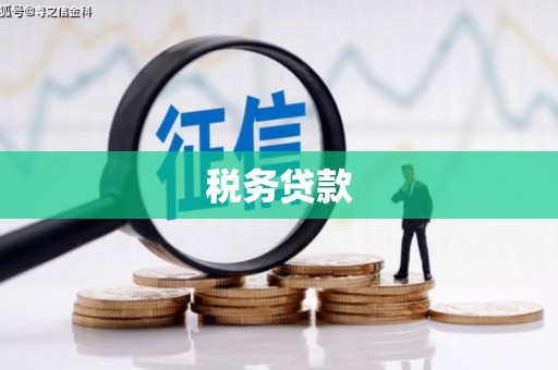 泾河税务贷款