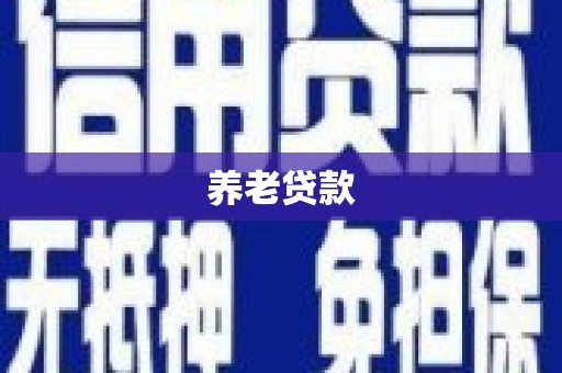 泾河养老贷款
