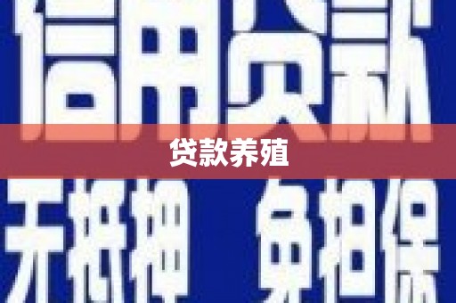 泾河贷款养殖