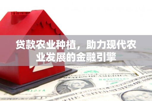 泾河贷款农业种植，助力现代农业发展的金融引擎