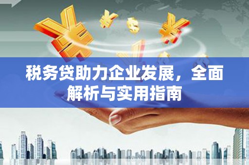 泾河税务贷助力企业发展，全面解析与实用指南