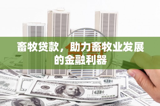 泾河畜牧贷款，助力畜牧业发展的金融利器