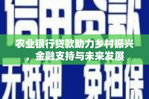 泾河农业银行贷款助力乡村振兴，金融支持与未来发展