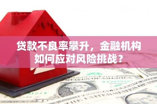 泾河贷款不良率攀升，金融机构如何应对风险挑战？
