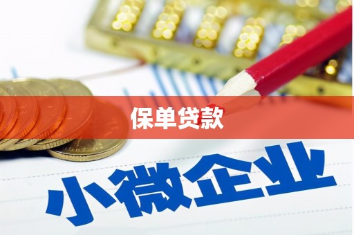 泾河保单贷款