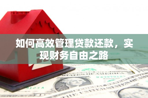 泾河如何高效管理贷款还款，实现财务自由之路