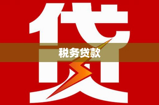 泾河税务贷款