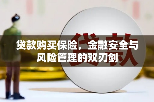 泾河贷款购买保险，金融安全与风险管理的双刃剑