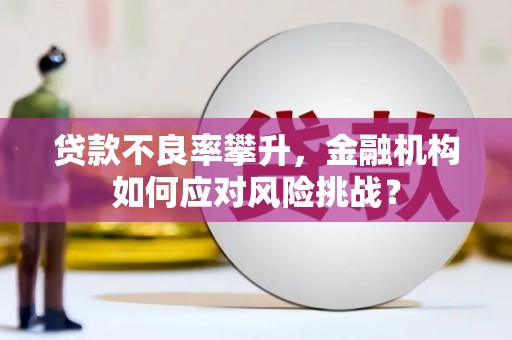 泾河贷款不良率攀升，金融机构如何应对风险挑战？
