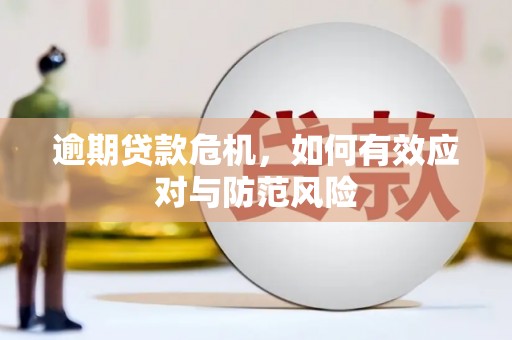 泾河逾期贷款危机，如何有效应对与防范风险