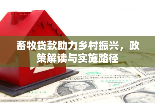 泾河畜牧贷款助力乡村振兴，政策解读与实施路径