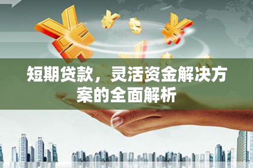 泾河短期贷款，灵活资金解决方案的全面解析
