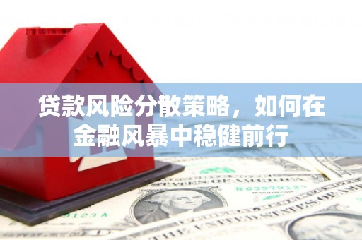泾河贷款风险分散策略，如何在金融风暴中稳健前行