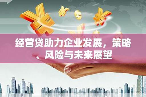 泾河经营贷助力企业发展，策略、风险与未来展望