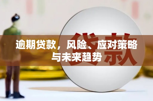 泾河逾期贷款，风险、应对策略与未来趋势