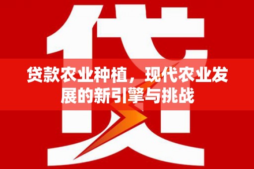 泾河贷款农业种植，现代农业发展的新引擎与挑战