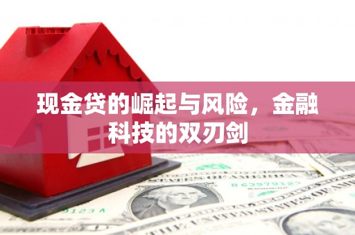 泾河现金贷的崛起与风险，金融科技的双刃剑