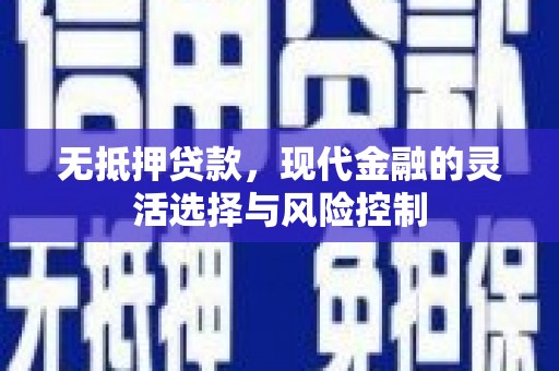 泾河无抵押贷款，现代金融的灵活选择与风险控制