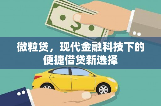 泾河微粒贷，现代金融科技下的便捷借贷新选择