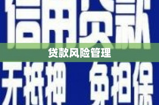 泾河贷款风险管理