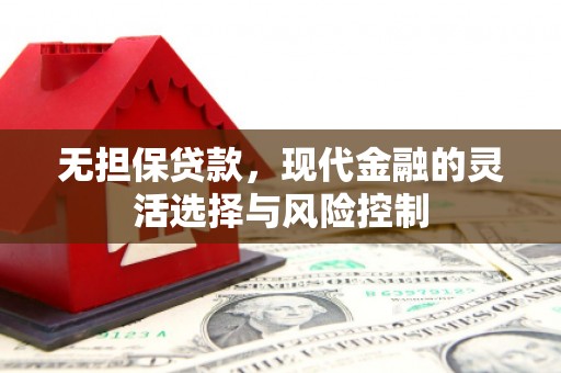泾河无担保贷款，现代金融的灵活选择与风险控制