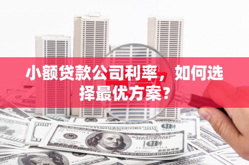 泾河小额贷款公司利率，如何选择最优方案？